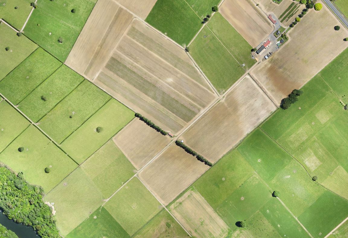 Orthomosaic par drone agricole