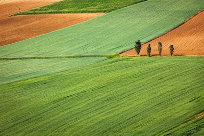 photo d'analyses agricoles par drone